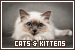  Cats & Kittens: 