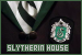  Harry Potter: Slytherin House: 