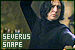  Potions Master: Severus Snape: 