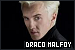  Pureblood: Draco Malfoy: 