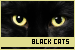  Cats: Black: 