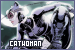  DC Comics: Catwoman: 