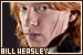 Harry Potter: Bill Weasley: